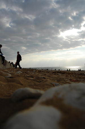 to the sea... to the sea...